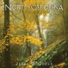 North Carolina Wonder and Light - Jerry D. Greer