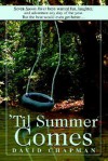 'Til Summer Comes: Seven Spoon River Boys Wanted Fun, Laughter, and Adventure Any Day of the Year. But the Best Would Even Get Better. - David Chapman