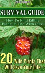 Survival Guide: How To Find Edible Plants In The Wilderness: 20 Wild Plants That Will Save Your Life!: (how to survive natural disaster, how to survive ... forest) ((survival guide, survival pantry)) - Helen Rogers
