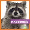 Raccoons - Martha E.H. Rustad