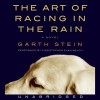 The Art of Racing in the Rain - Christopher Evan Welch, Garth Stein