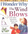 I Wonder Why the Wind Blows: And Other Questions About Our Planet - Anita Ganeri