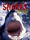 Sharks and Other Fish - Andrew Solway