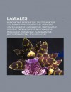 Lamiales: Acanthaceae, Bignoniaceae, Calceolariaceae, Carlemanniaceae, Gesneriaceae, Lamiaceae, Lentibulariaceae, Linderniaceae, - Source Wikipedia