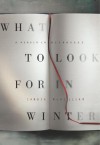 What to Look for in Winter: A Memoir in Blindness - Candia McWilliam