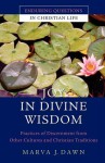 Joy in Divine Wisdom: Practices of Discernment from Other Cultures and Christian Traditions - Marva J. Dawn