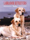 Labrador Retrievers Today - Ringpress Books