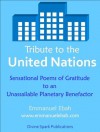 Tribute to the United Nations - Emmanuel Ebah