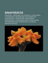 Sinaps Deos: Synapsida, Therapsida, Dicynodontia, Tiarajudens, Lystrosaurus, Anteosauria, Pelicossauros, Anteosaurus, Thrinaxodon, - Source Wikipedia