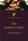 York Notes On Nathaniel Hawthorne's "Scarlet Letter" (York Notes Advanced) - Julian Cowley