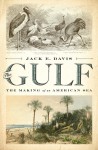 The Gulf: The Making of An American Sea - Jack E. Davis