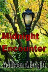 Midnight Encounter - Addison Albright
