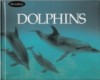 Dolphins (The Wildlife Library) - Dean Stahl