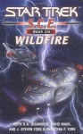 Wildfire - David Mack, Keith R.A. DeCandido, Christina F. York, J. Steven York