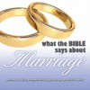 What the Bible Says About Marriage - Kelly Ryan Dolan, Jill Shellabarger