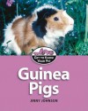 Guinea Pigs - Jinny Johnson