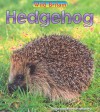 Hedgehog - Louise Spilsbury, Richard Spilsbury