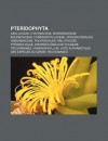 Pteridophyta - Livres Groupe