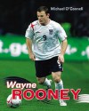 Wayne Rooney (Artnik Football) - Michael O'Connell