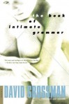 The Book of Intimate Grammar: A Novel - David Grossman, Betsy Rosenberg