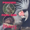Pouches, Pads, and Plumes - Lynn M. Stone