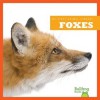 Foxes - Martha E.H. Rustad