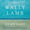 We Are Water: A Novel (Audio) - Wally Lamb