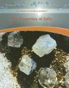 The Properties of Salts - Marylou Morano Kjelle