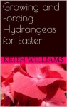 Growing and Forcing Hydrangeas for Easter - Keith Williams