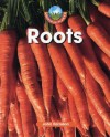 Roots (World of Plants) - John Farndon