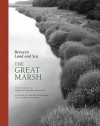 Between Land and Sea: The Great Marsh - Dorothy Kerper Monnelly, Jeanne Falk Adams, Doug Stewart