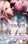 Stranded: A New Year's Eve Anthology - Carly Fall, Casse NaRome, Elise Marion, Kacey Hammell, Natalie G. Owens, Zee Monodee