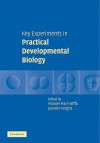 Key Experiments in Practical Developmental Biology - Manuel Mari-Beffa, Jennifer Knight