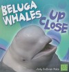 Beluga Whales Up Close - Jody Sullivan Rake