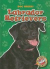 Labrador Retrievers (Blastoff! Readers: Dog Breeds) (Blastoff! Readers: Dog Breeds: Level 4) - Mari C. Schuh