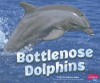 Bottlenose Dolphins - Jody Sullivan Rake, Megan Cooley Petersen