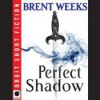 Perfect Shadow (Night Angel, #0.5) - Brent Weeks, James Langton