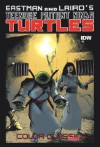 Teenage Mutant Ninja Turtles Color Classics Vol. 2 #4 - Peter Alan Laird, Jim Lawson