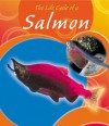 The Life Cycle of a Salmon - Lisa Trumbauer, Gail Saunders-Smith, Thomas P. Quinn