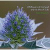 Wildflowers Of Cornwall And The Isles Of Scilly - David Chapman