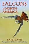 Falcons of North America - Kate Davis, Rob Palmer, Nick Dunlop