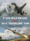 F-105 Wild Weasel vs SA-2 'Guideline' SAM (Duel) - Peter Davies