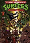 Teenage Mutant Ninja Turtles Adventures, Volume 3 - Dean Clarrain