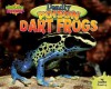 Deadly Poison Dart Frogs - Jennifer Dussling