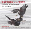 Raptors of the West: Captured in Photographs - Kate Davis, Rob Palmer, Nick Dunlop