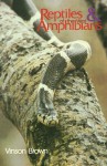 Reptiles & Amphibians of the West - Vinson Brown, Phylis Thompson, Carol Lyness