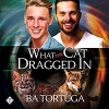 What the Cat Dragged In - Ba Tortuga, Joe Formichella