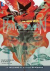 Batwoman vol.1: Hydrology - J. H. Williams III, W. Haden Blackman, Amy Reeder Hadley