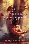 A Beautiful Accident: A Tor.Com Original - Peter Orullian