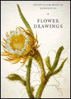 Flower Drawings - David Scrase